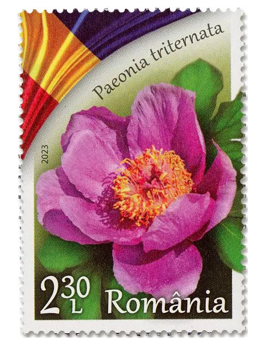 n° 7016/7019 - Timbre ROUMANIE Poste