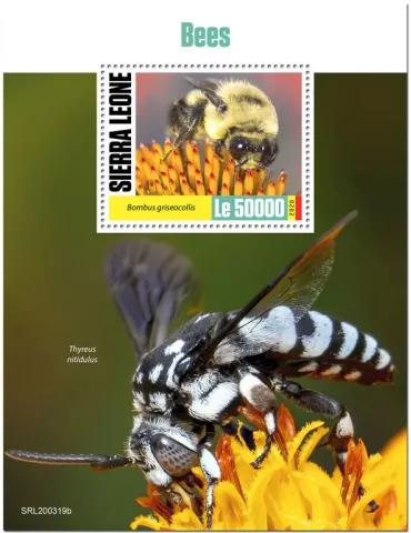 n° 1948 - Timbre SIERRA LEONE Blocs et feuillets