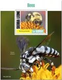 n° 1948 - Timbre SIERRA LEONE Blocs et feuillets