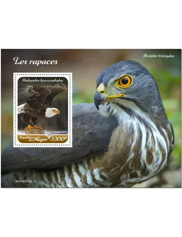 n° 1113 - Timbre NIGER Blocs et feuillets