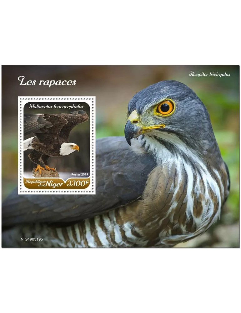 n° 1113 - Timbre NIGER Blocs et feuillets