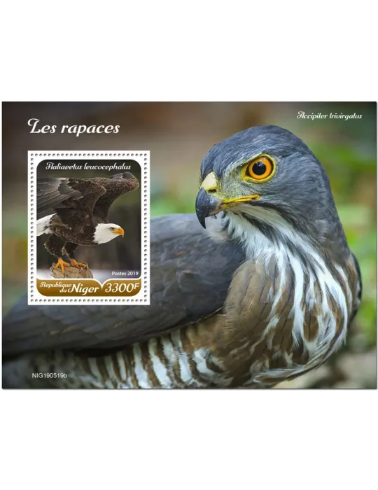 n° 1113 - Timbre NIGER Blocs et feuillets