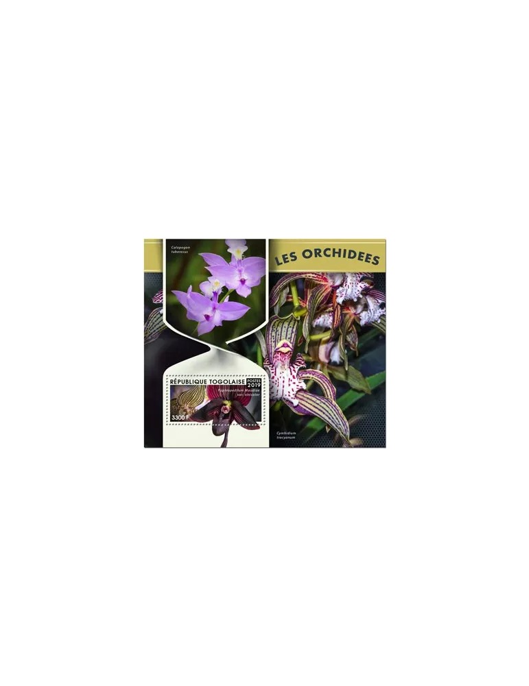 n° 1497 - Timbre TOGO Blocs et feuillets