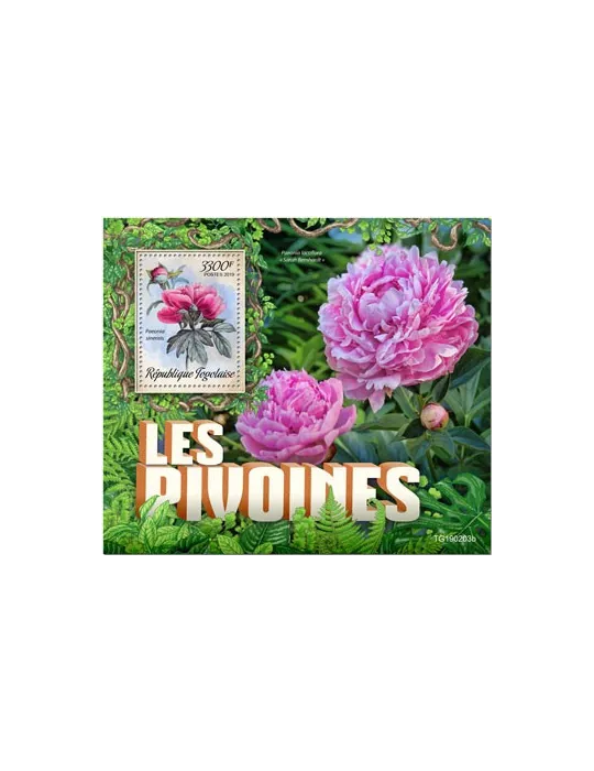 n° 1535 - Timbre TOGO Blocs et feuillets