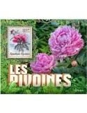 n° 1535 - Timbre TOGO Blocs et feuillets