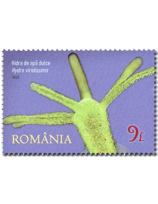 n° 7081/7084 - Timbre ROUMANIE Poste