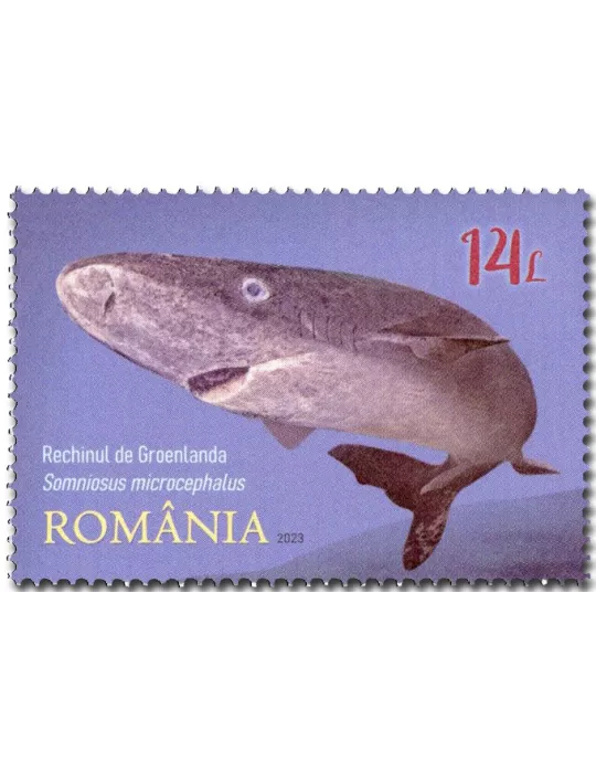 n° 7081/7084 - Timbre ROUMANIE Poste