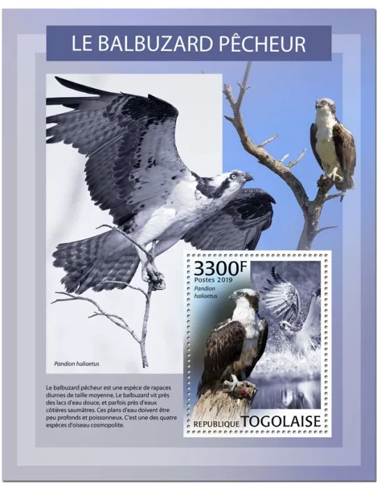 n° 1664 - Timbre TOGO Blocs et feuillets