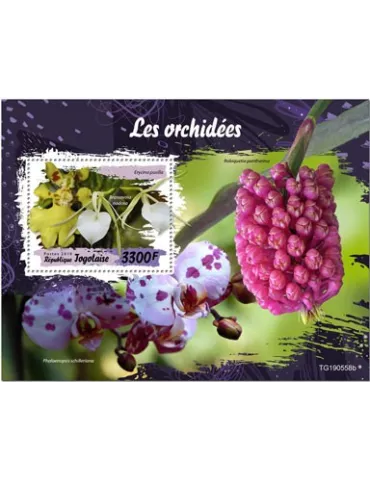 n° 1799 - Timbre TOGO Blocs et feuillets