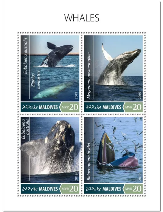 n° 6968/6971 - Timbre MALDIVES Poste