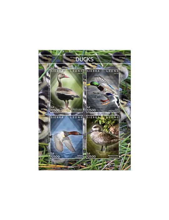 n° 9541/9544 - Timbre SIERRA LEONE Poste