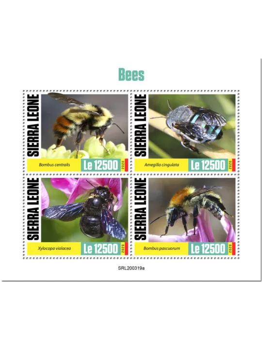 n° 9836/9839 - Timbre SIERRA LEONE Poste