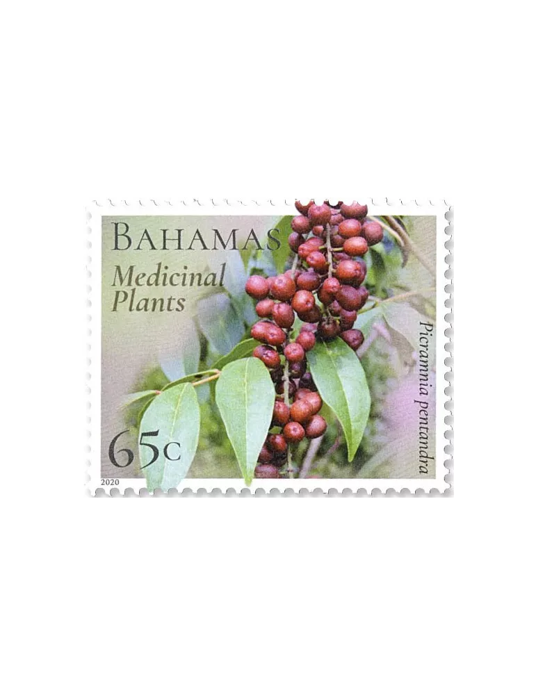 n° 1597/1602 - Timbre BAHAMAS Poste