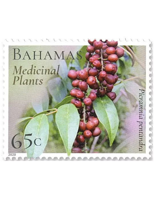 n° 1597/1602 - Timbre BAHAMAS Poste