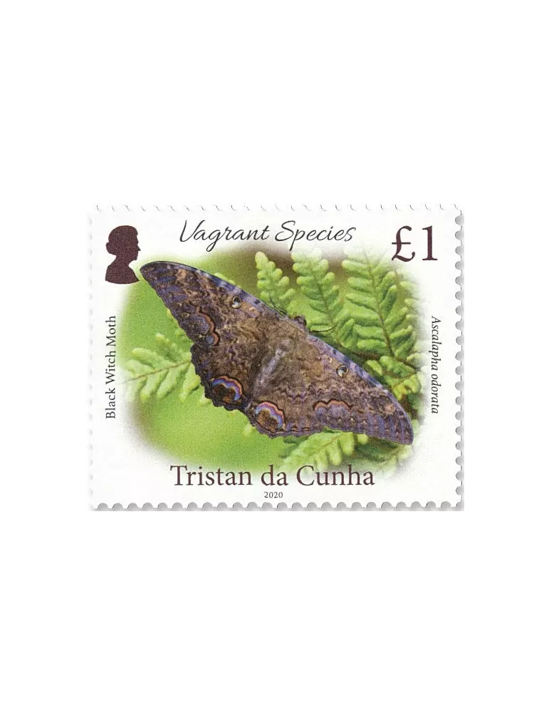 n° 1256/1259 - Timbre TRISTAN DA CUNHA Poste