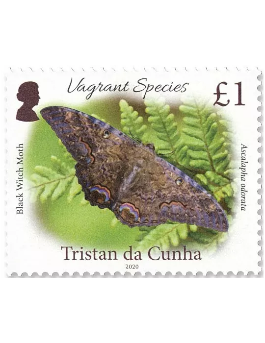 n° 1256/1259 - Timbre TRISTAN DA CUNHA Poste