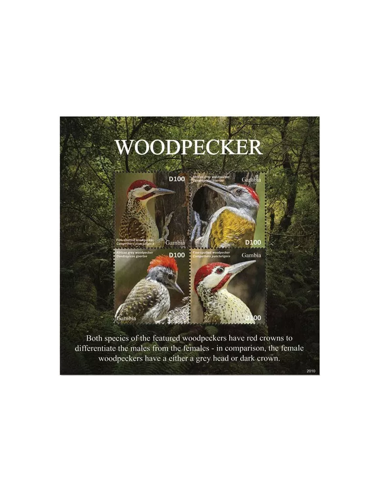 n° 6090/6093 - Timbre GAMBIE Poste