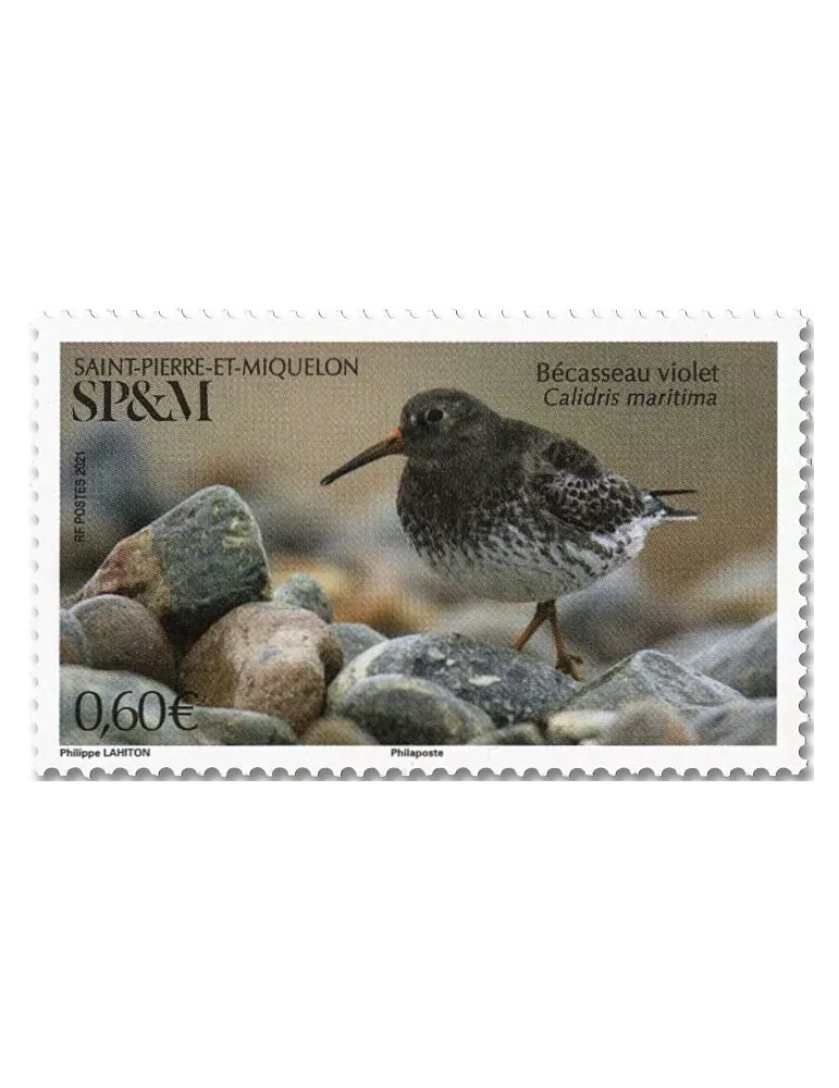 n° 1253 - Timbre Saint-Pierre et Miquelon Poste