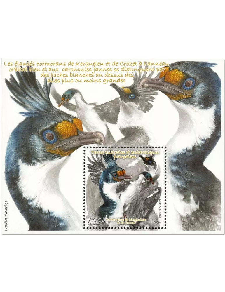 n° F958 - Timbre TAAF Poste