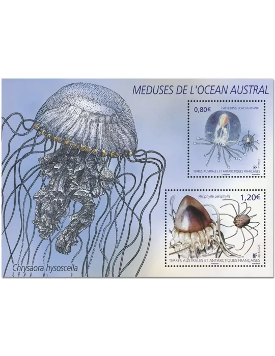 n° F963 - Timbre TAAF Poste