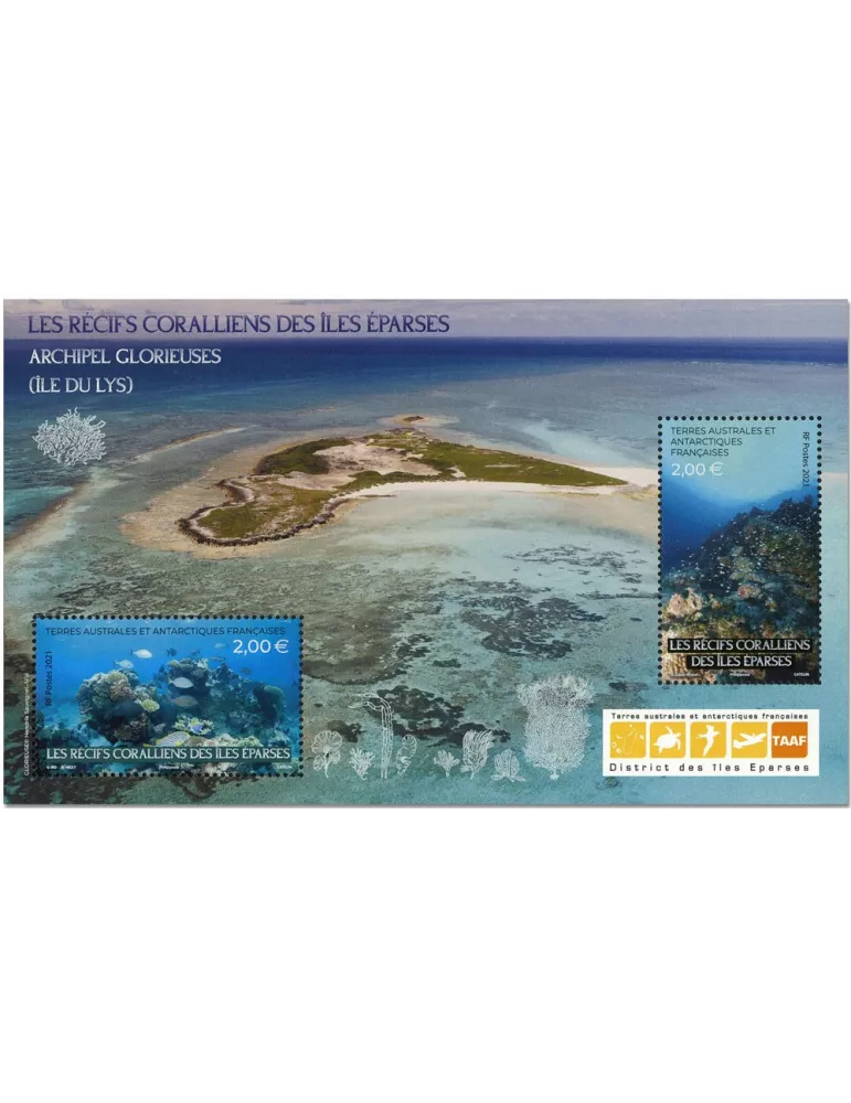 n° F983 - Timbre TAAF Poste