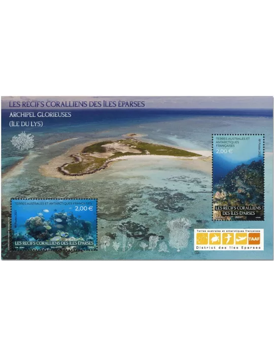 n° F983 - Timbre TAAF Poste