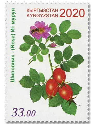 n° 834/836 - Timbre KIRGHIZISTAN (Poste Kirghize) Poste
