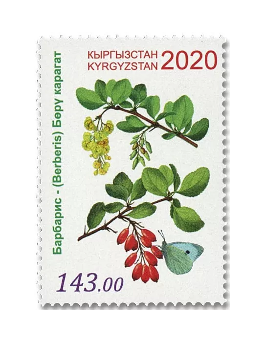 n° 834/836 - Timbre KIRGHIZISTAN (Poste Kirghize) Poste
