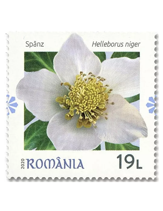 n° 6659/6662 - Timbre ROUMANIE Poste