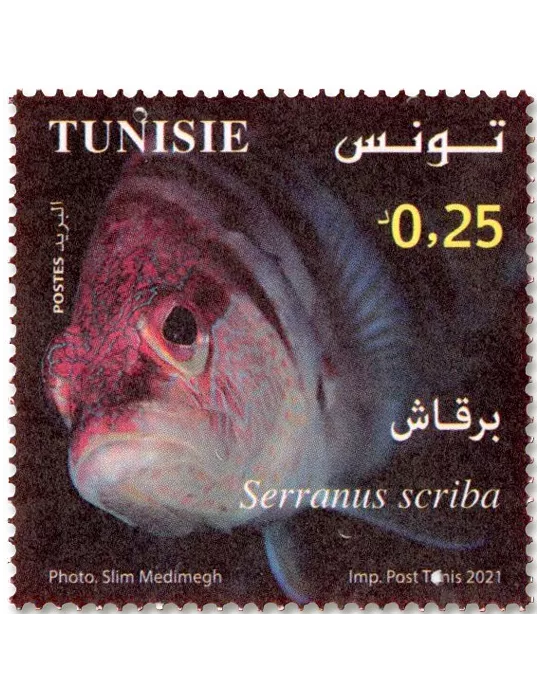 n° 1950/1953 - Timbre TUNISIE Poste