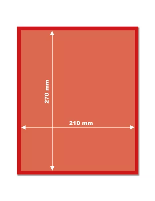 MEDAILLIER - SANS CASES