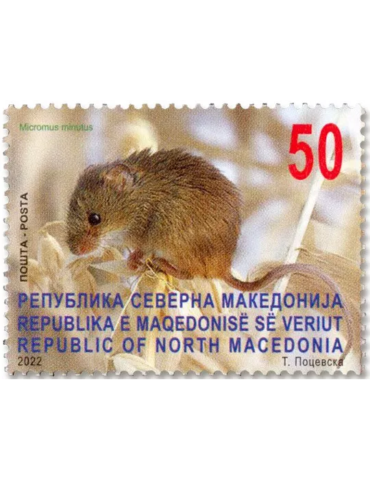 n° 962/965 - Timbre MACEDOINE Poste