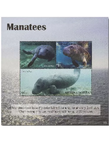 n° 5041/5043 - Timbre ANTIGUA Poste