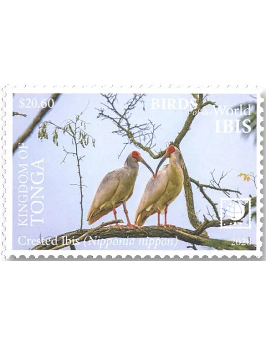 n° 1598/1601 - Timbre TONGA Poste