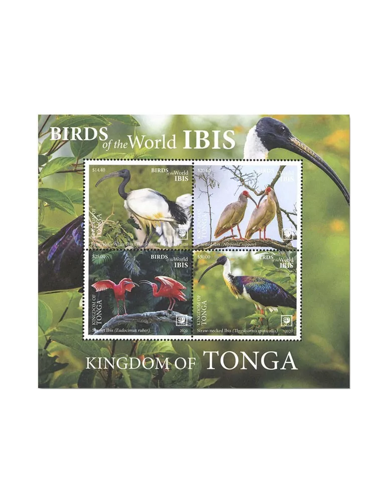 n° 118 - Timbre TONGA Blocs et feuillets