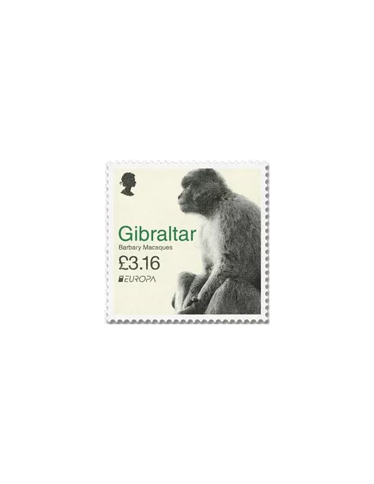 n° 2001/2002 - Timbre GIBRALTAR Poste