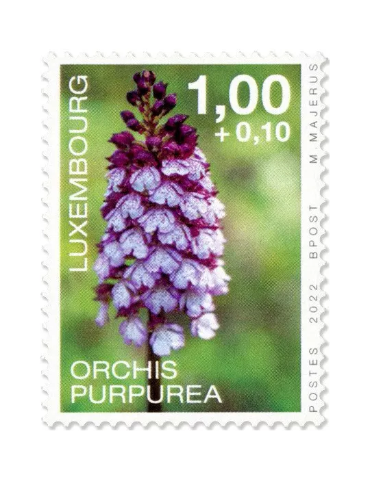 n° 2261/2264 - Timbre LUXEMBOURG Poste