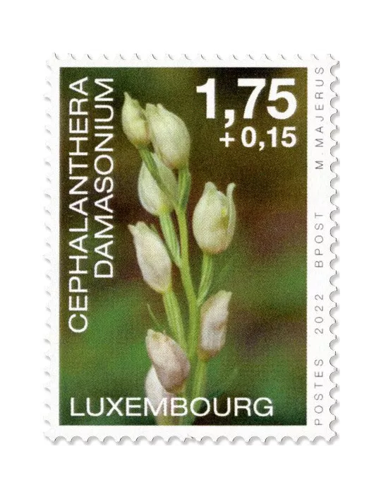 n° 2261/2264 - Timbre LUXEMBOURG Poste