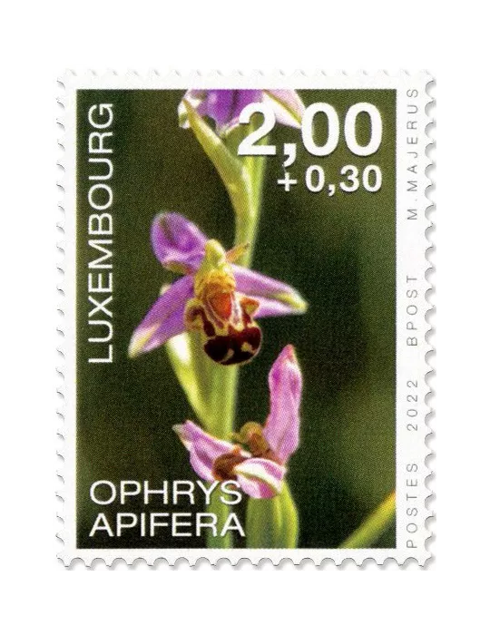 n° 2261/2264 - Timbre LUXEMBOURG Poste