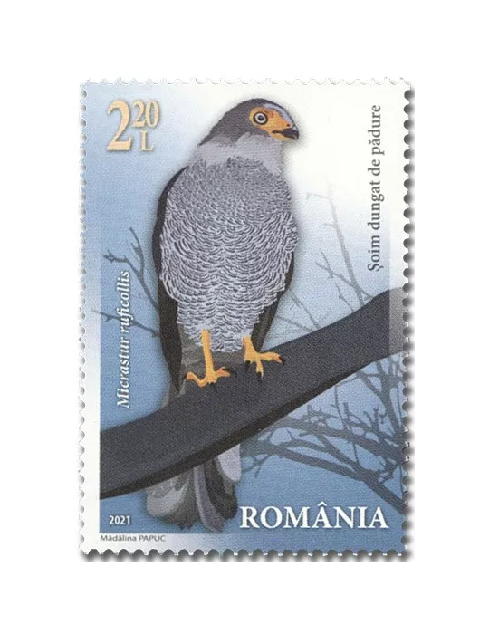 n° 6681/6684 - Timbre ROUMANIE Poste