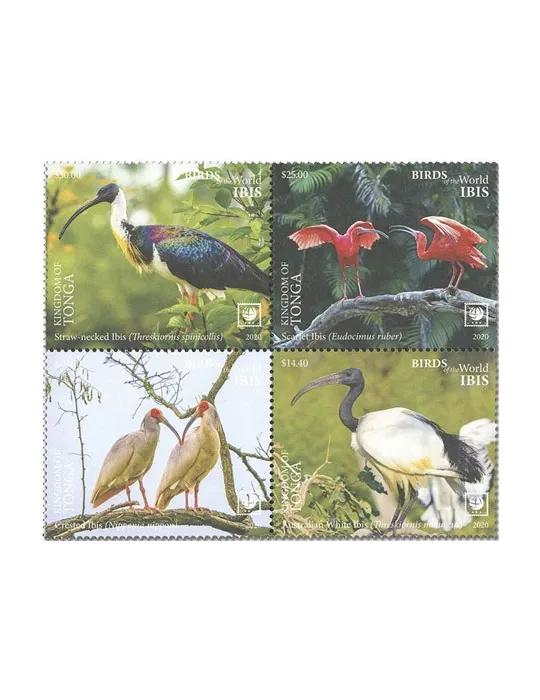 n° 1602/1605 - Timbre TONGA Poste