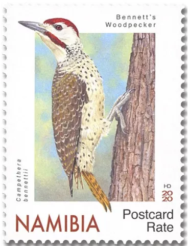 n° 1439/1443 - Timbre NAMIBIE Poste 2