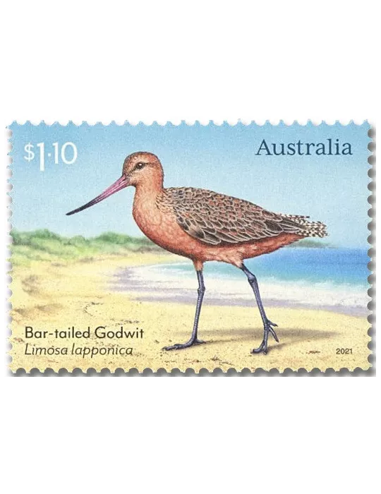 n° 5085/5087 - Timbre AUSTRALIE Poste