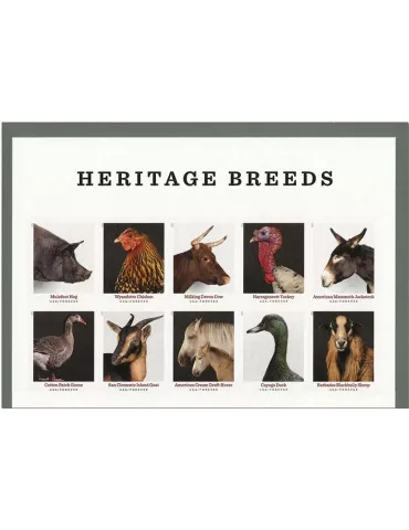 n° 5425/5434 - Timbre ETATS-UNIS D´AMERIQUE Poste