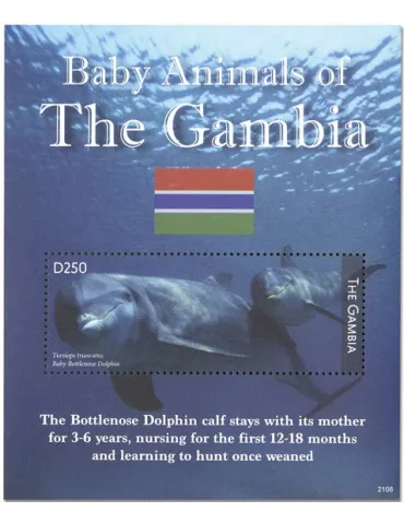 n° 948 - Timbre GAMBIE Blocs et feuillets