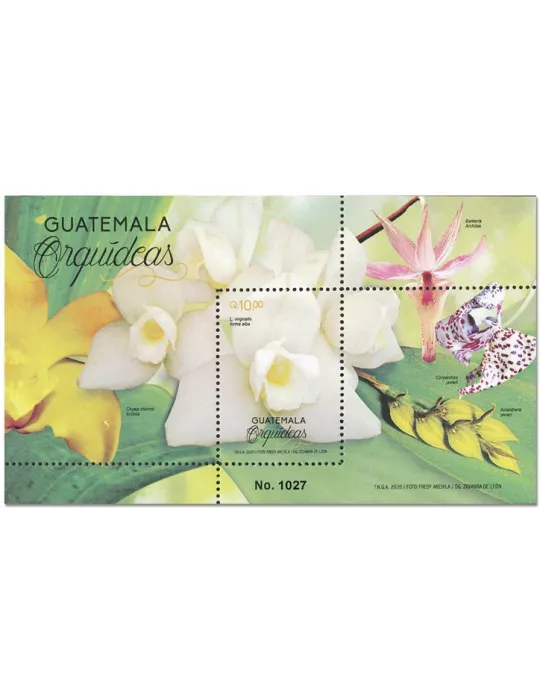 n° 47 - Timbre GUATEMALA Blocs et feuillets