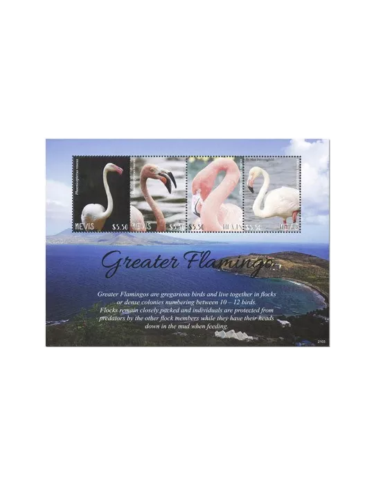 n° 2894/2897 - Timbre NEVIS Poste