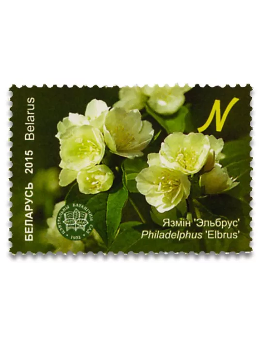 n° 897/900 - Timbre BIELORUSSIE Poste