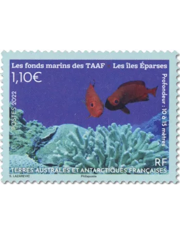 n° 1005 - Timbre TAAF Poste