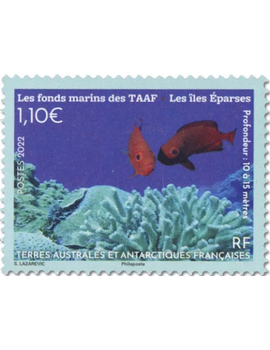 n° 1005 - Timbre TAAF Poste